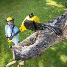 Best Lawn Irrigation Installation and Maintenance  in Bellaire, OH